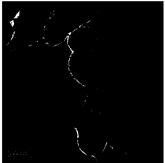 Chitosan-modified pH responsive medicine-loading controlled release material and preparation method thereof