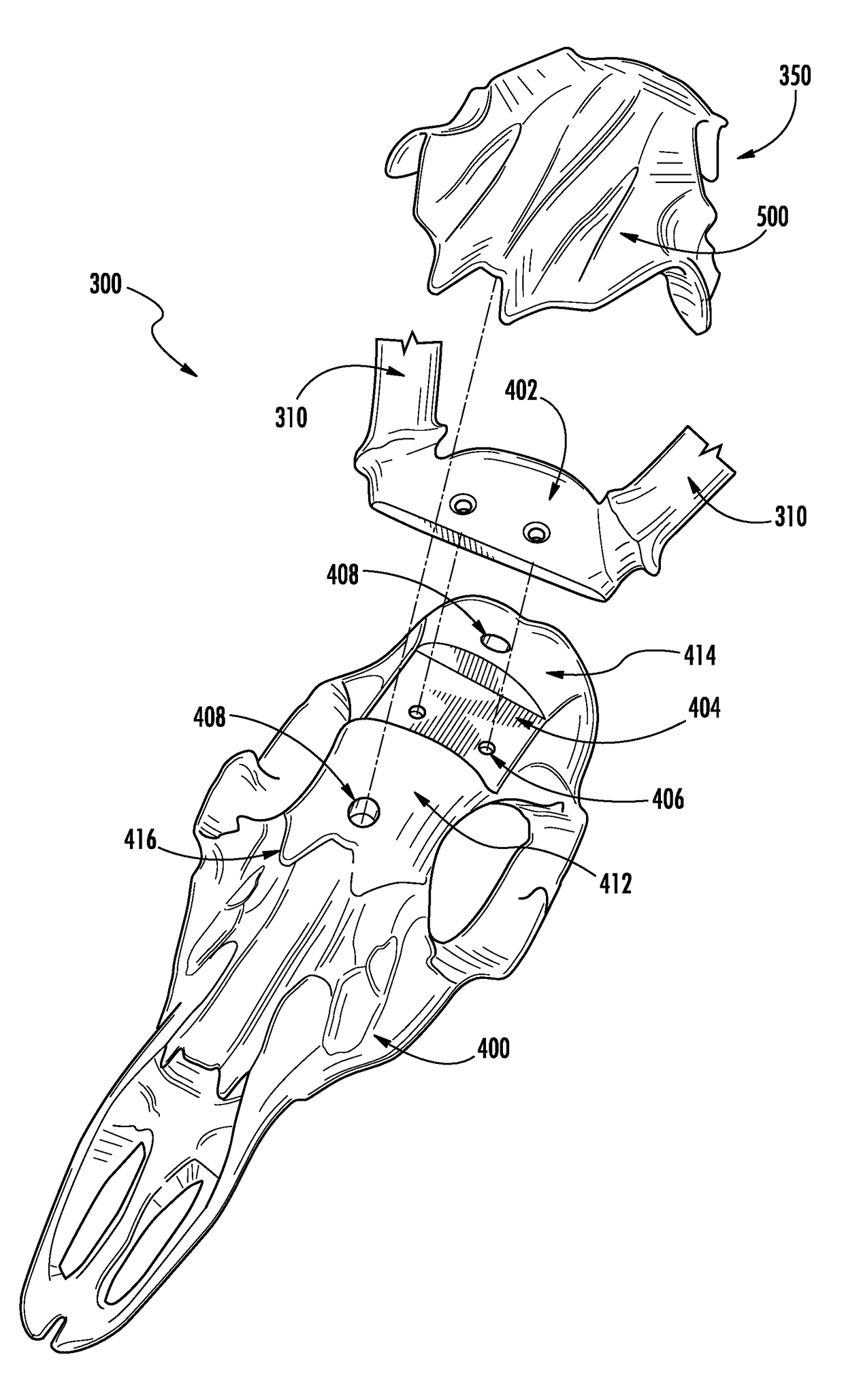 Skull mount for use in skull mounting