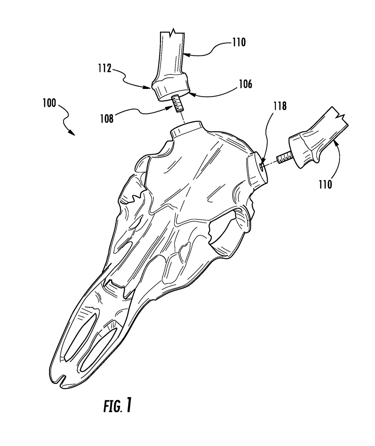 Skull mount for use in skull mounting