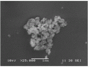 Method for fast preparing hollow porous silicon dioxide/silver nanoparticle composite and product