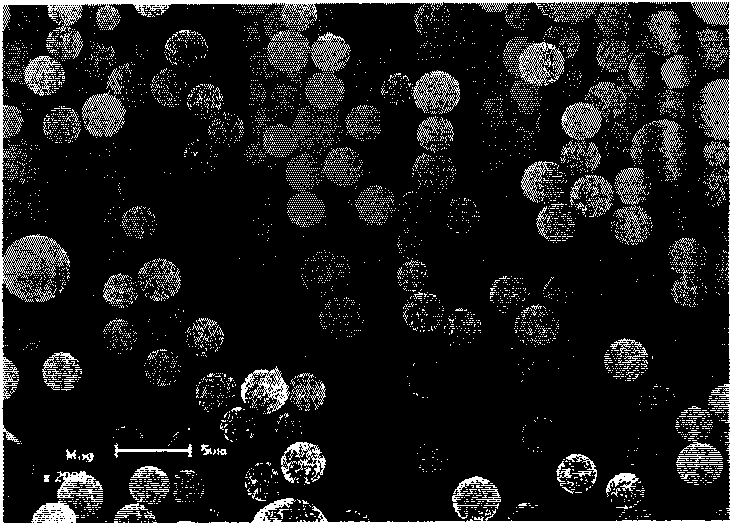 Surface-hydrophilic molecularly imprinted polymer microsphere and preparation method thereof