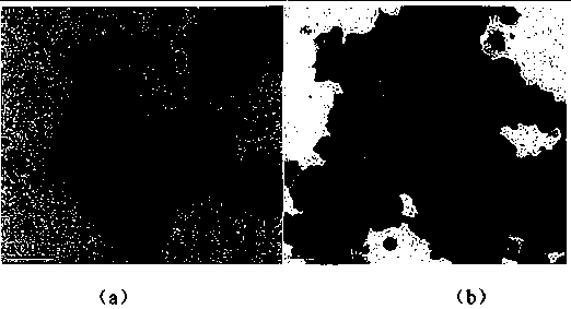 Magnetic dendritic polymer composite nanoparticle, and preparation method and application thereof