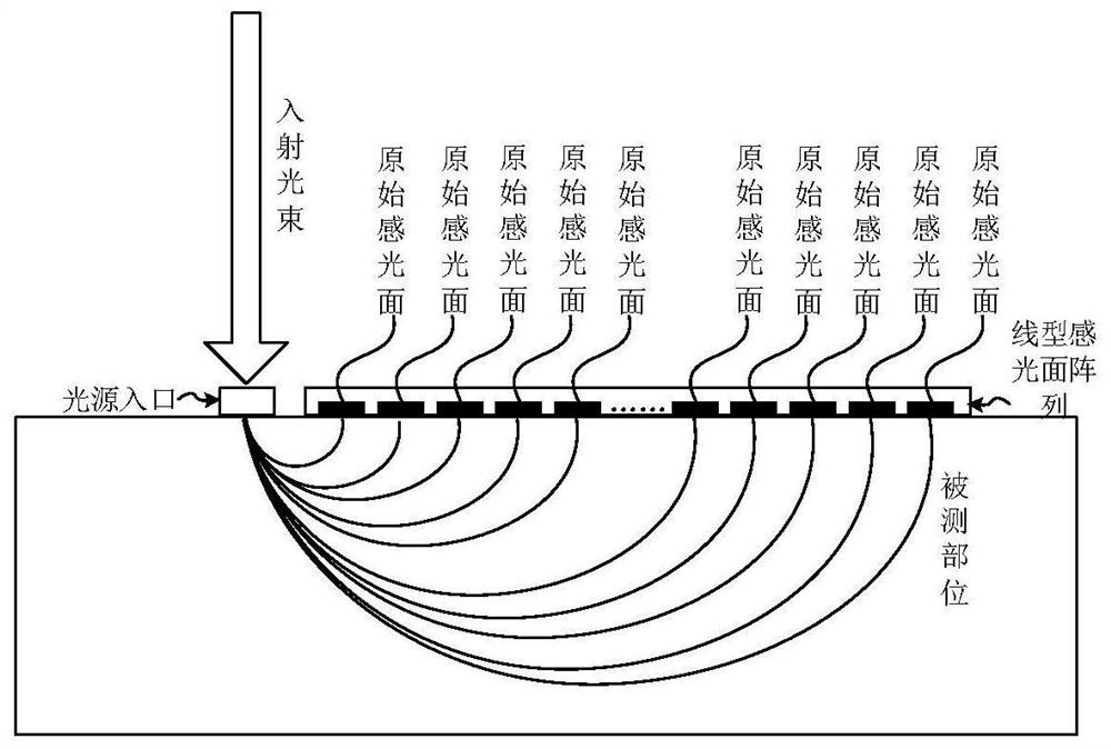 Tissue component noninvasive detection method, device and system and wearable equipment