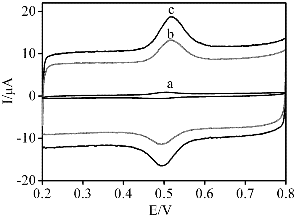 Method for preparation of BP (black phosphorene) modified electrode and detection of rutin