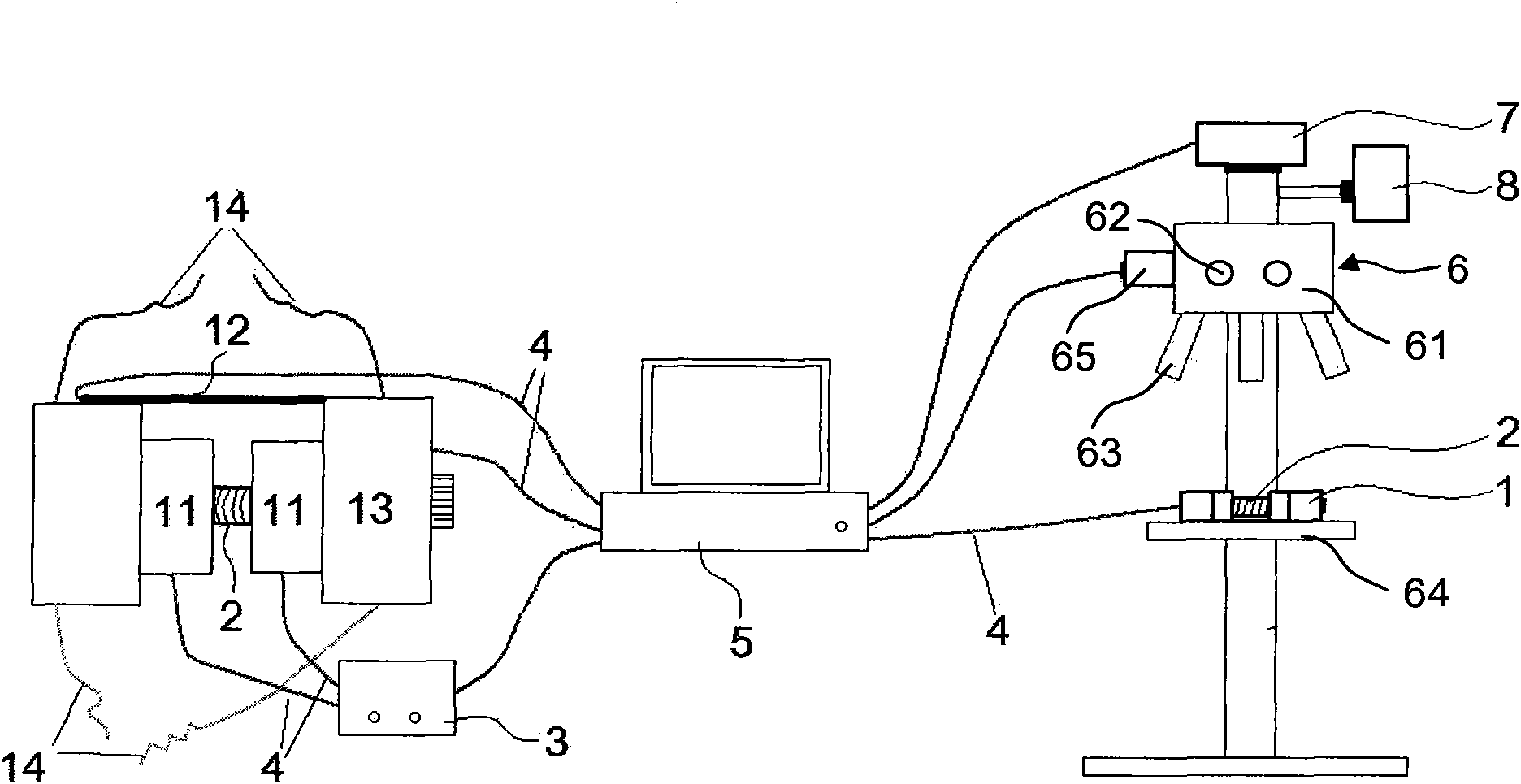 Real-time measurement method for wood deformation microstructure characteristics