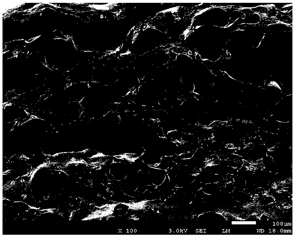 Marine biomaterial composite hydrogel dressing and preparation method thereof