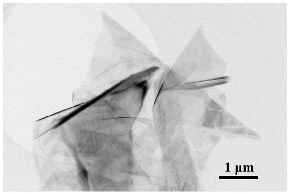 Method for preparing directional growth tibw-reinforced titanium matrix composites based on graphene template