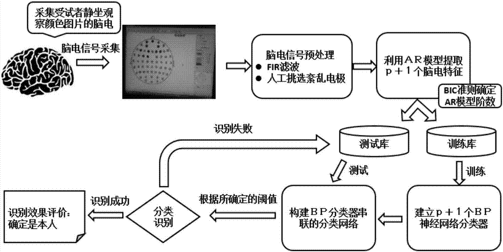 Exclusive EEG identity identification method