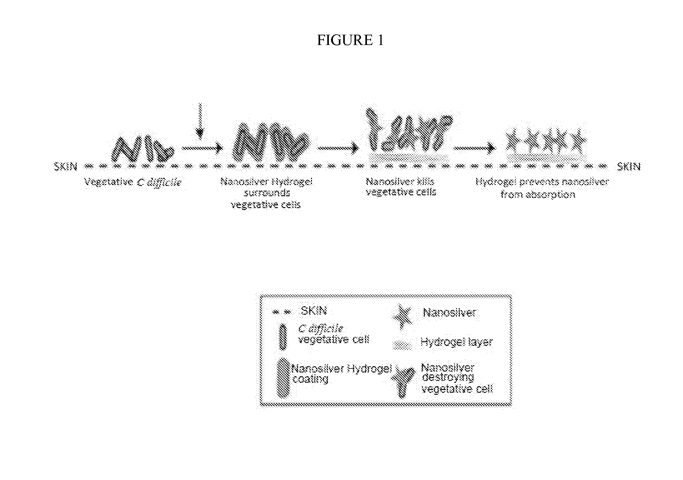 Endospore compositions and uses thereof