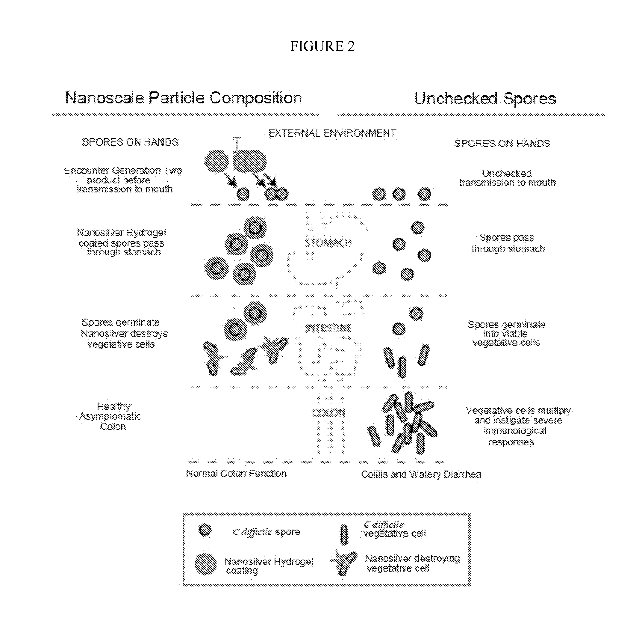 Endospore compositions and uses thereof