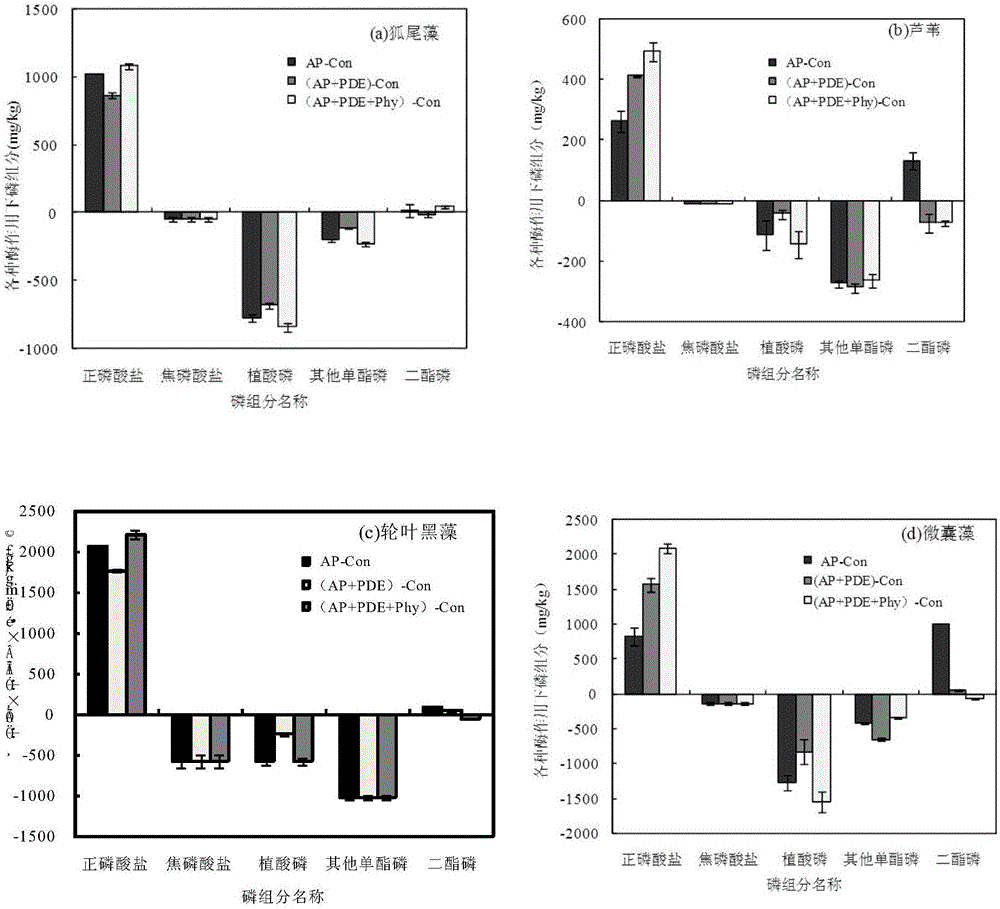 Analysis method of bioavailable phosphorus in algae and aquatic plant