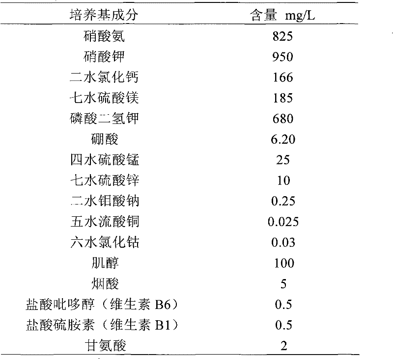 Method for obtaining dihaploid plants of sweet peppers