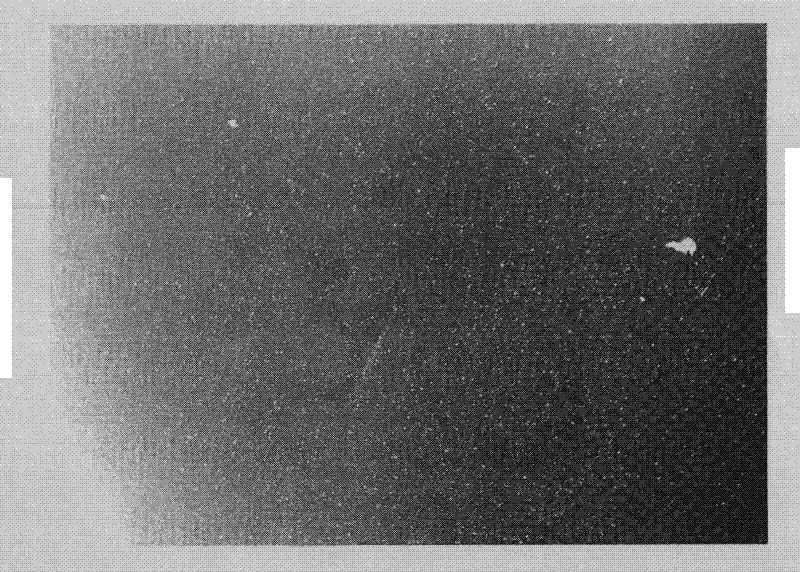 Bonding type optical film and adhesive composition