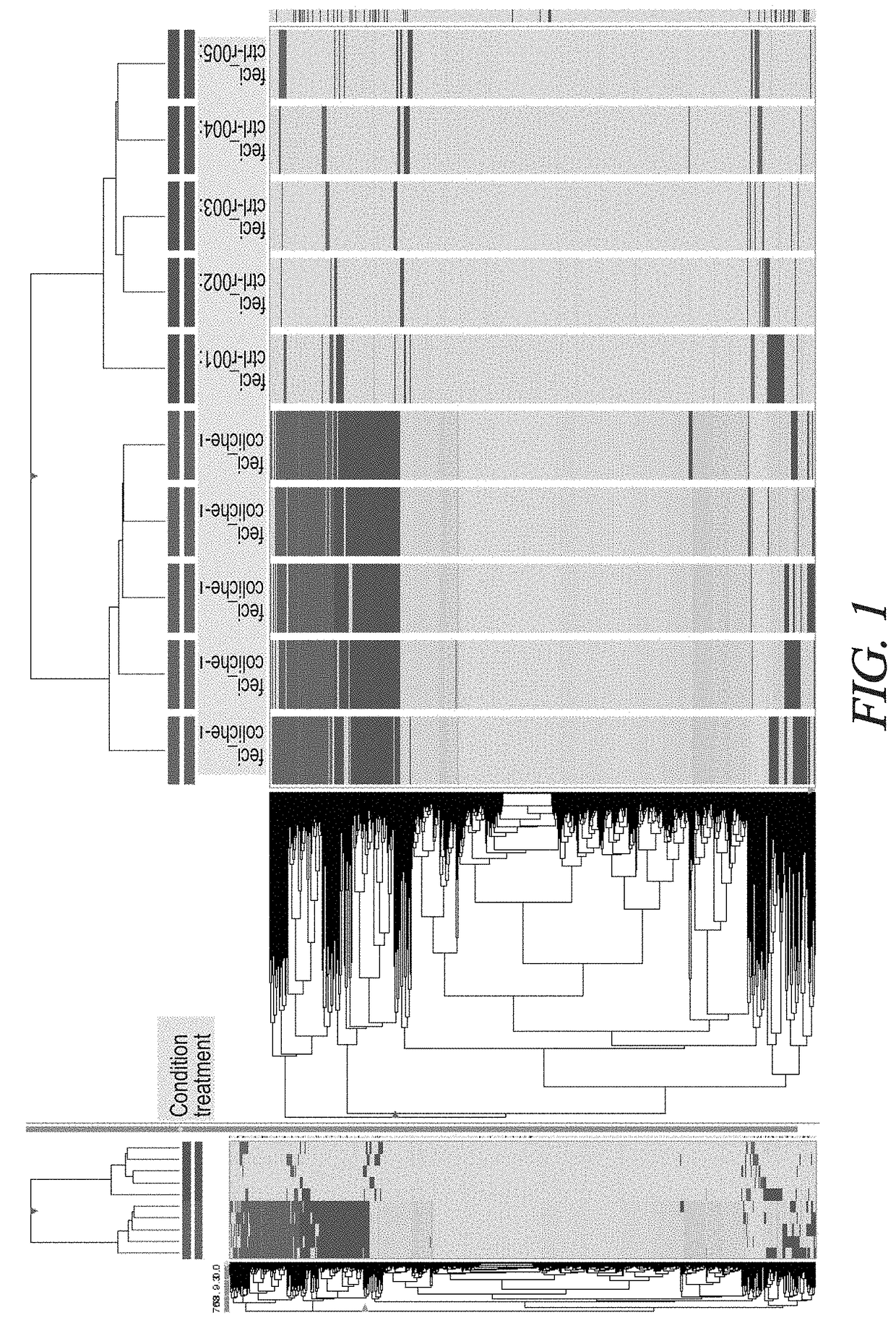 Nutritional compositions providing dietary management of colic