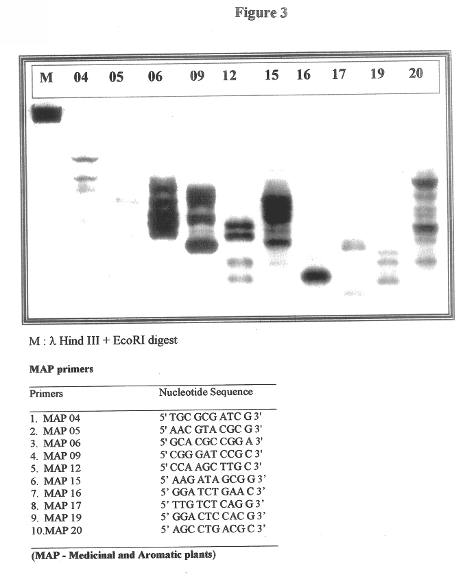 Streptomyces strain with potential anti-microbial activity against phytopathogenic fungi