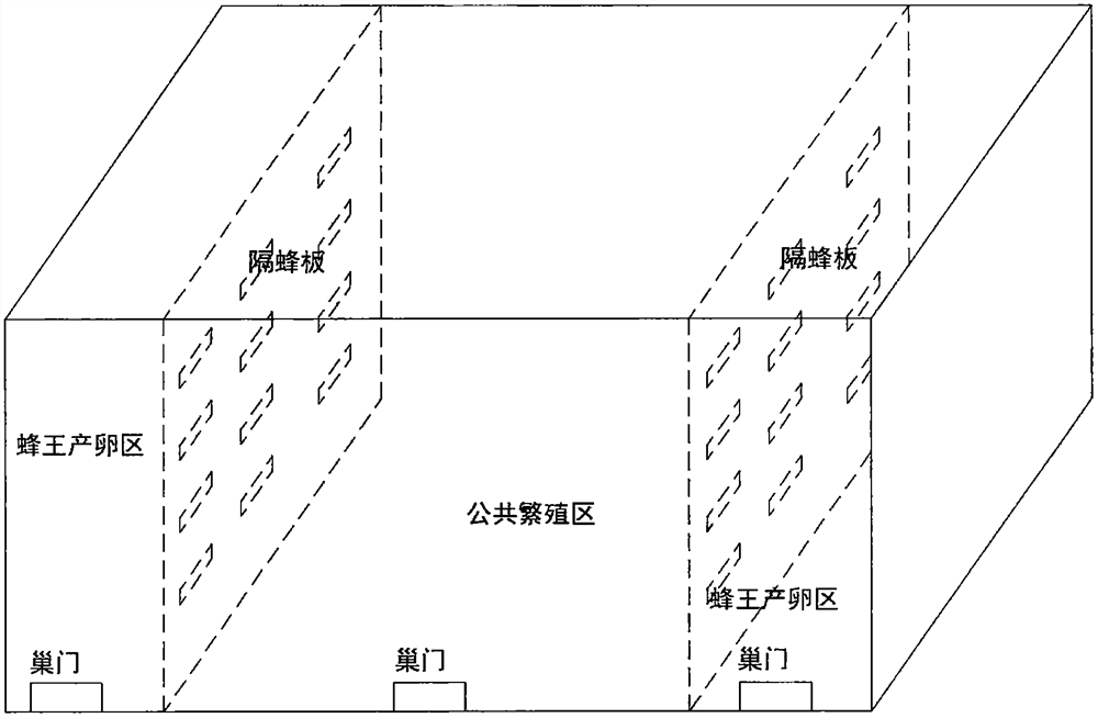 Anti-mite and anti-disease bee colony breeding method