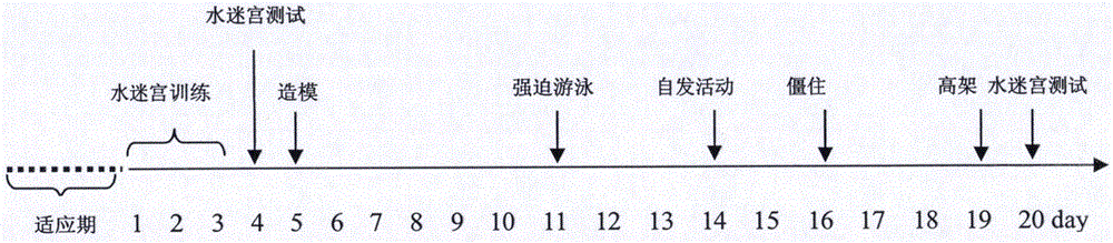 Application of small dose of propofol in preparing products for preventing and curing post-traumatic stress disorder (PTSD)