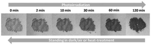 An ionized nanoporous organic network polymer and its preparation method and application