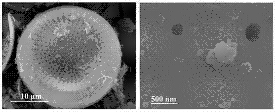 Composite ferroferric oxide and manganese dioxide Fenton catalyst and preparation method thereof