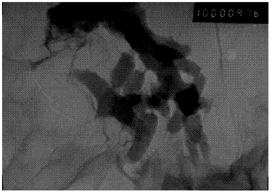 Preparation method for high-concentration graphene-polyaniline nanofiber composite dispersion liquid and high-concentration graphene-polyaniline nanofiber composite film