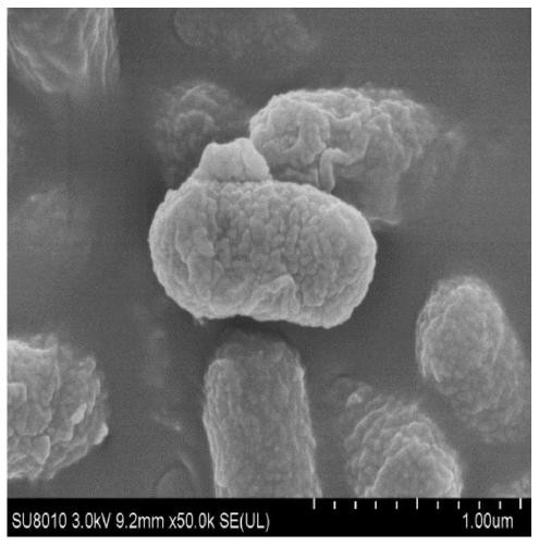 Enterobacter rhizophyta biotype Ⅰ zjb-17002 and its application