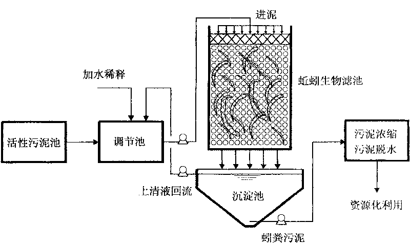 Method for processing excess sludge of town sewage plant using angleworm bio-filter