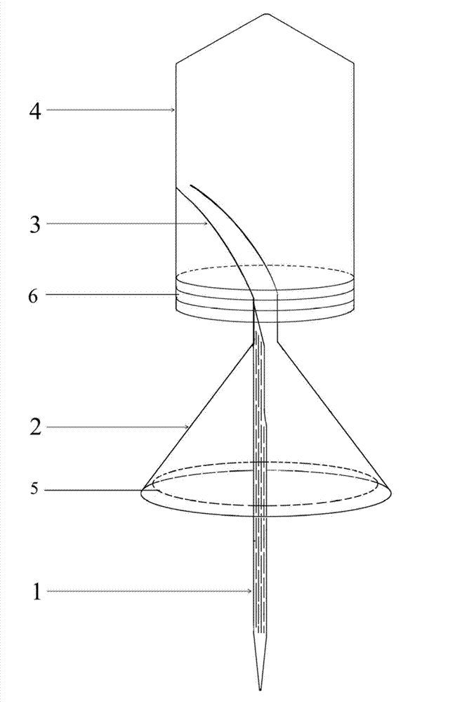 Quantitative acquisition device for Solenopsis invicta ergate