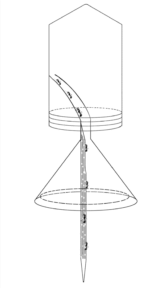 Quantitative acquisition device for Solenopsis invicta ergate