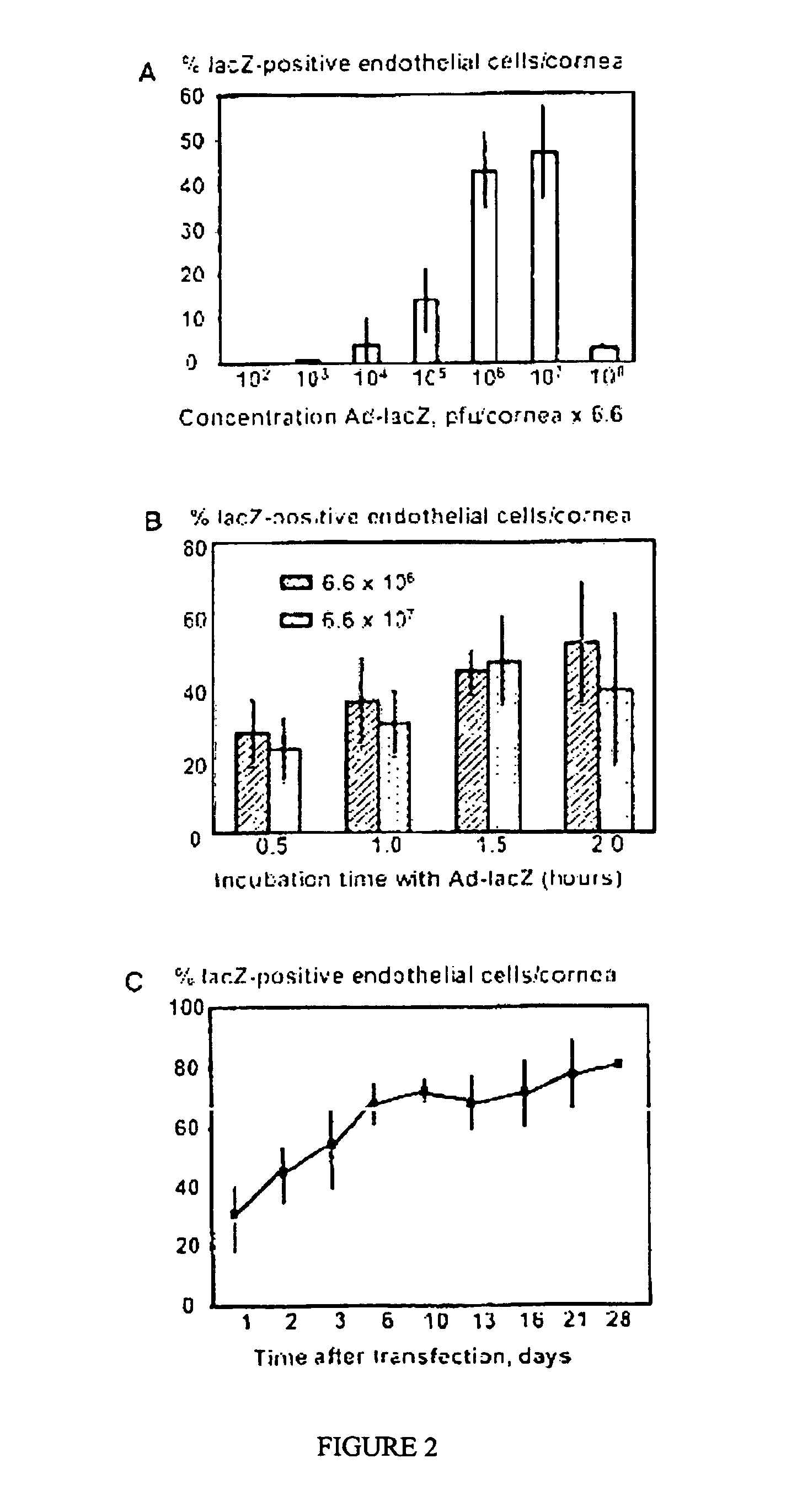 Ocular Tissue Modification