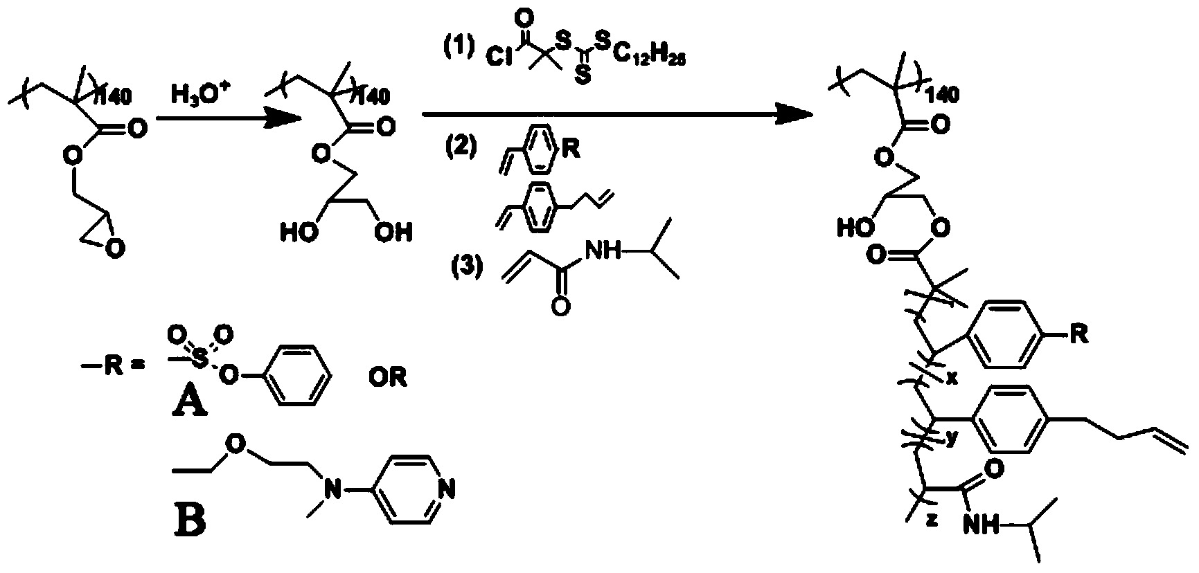 Polymer molecule brush supported catalyst as well as synthesis method and application of catalyst