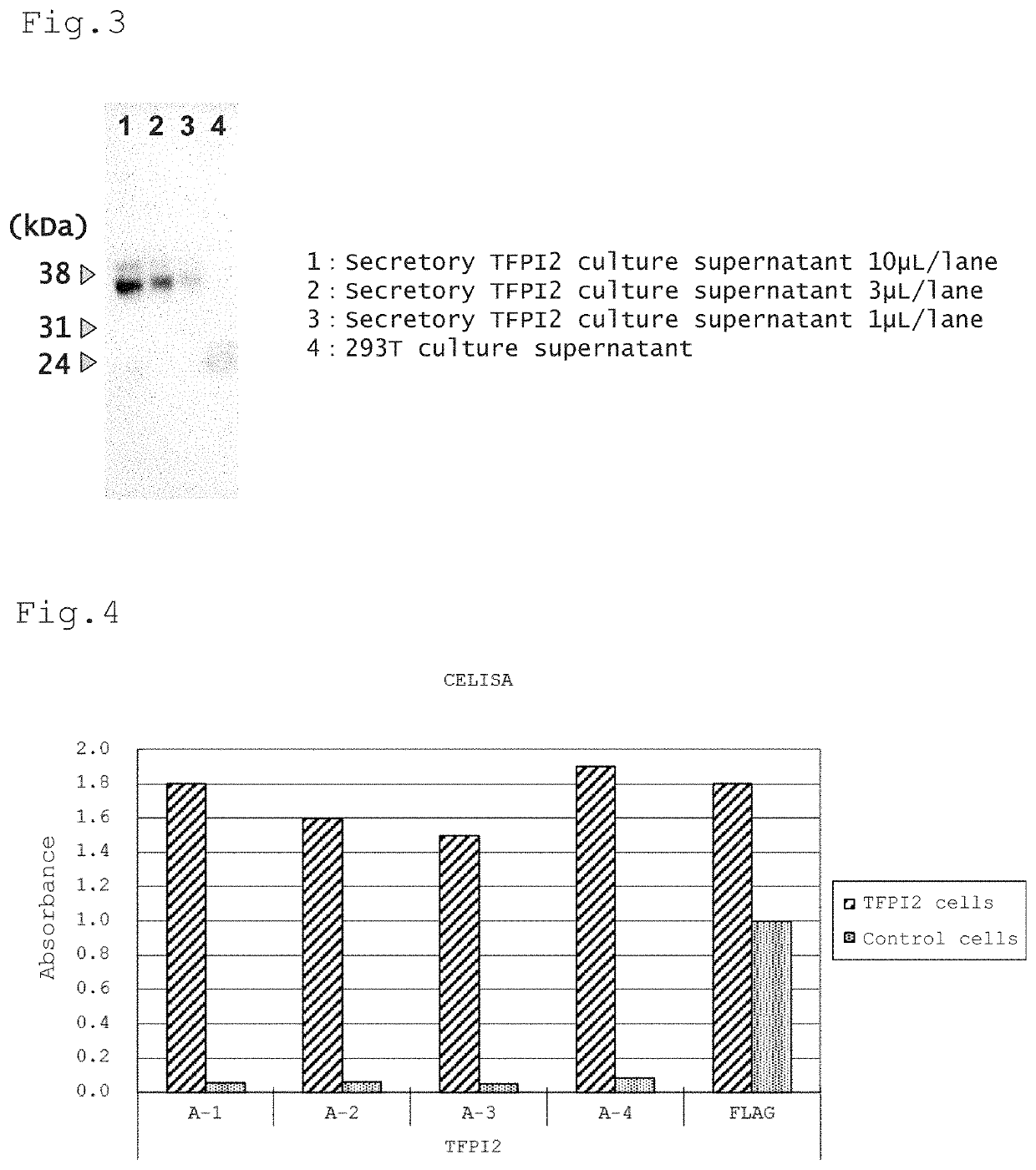 Method and reagent for detecting ovarian clear cell adenocarcinoma