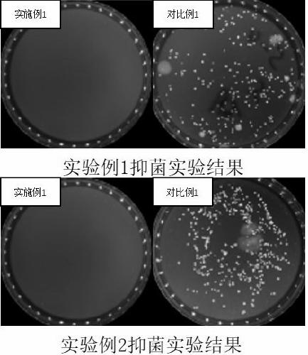 Preparation method of antibacterial chitosan and application of antibacterial chitosan as liquid care dressing