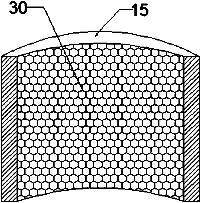 Iron removal type medicinal material processing device capable of crushing and drying