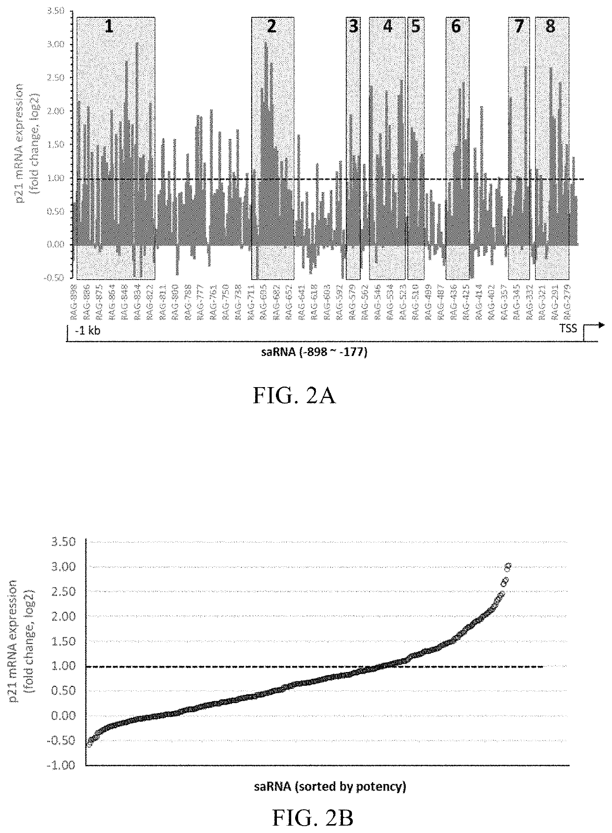 Novel Small Activating RNA