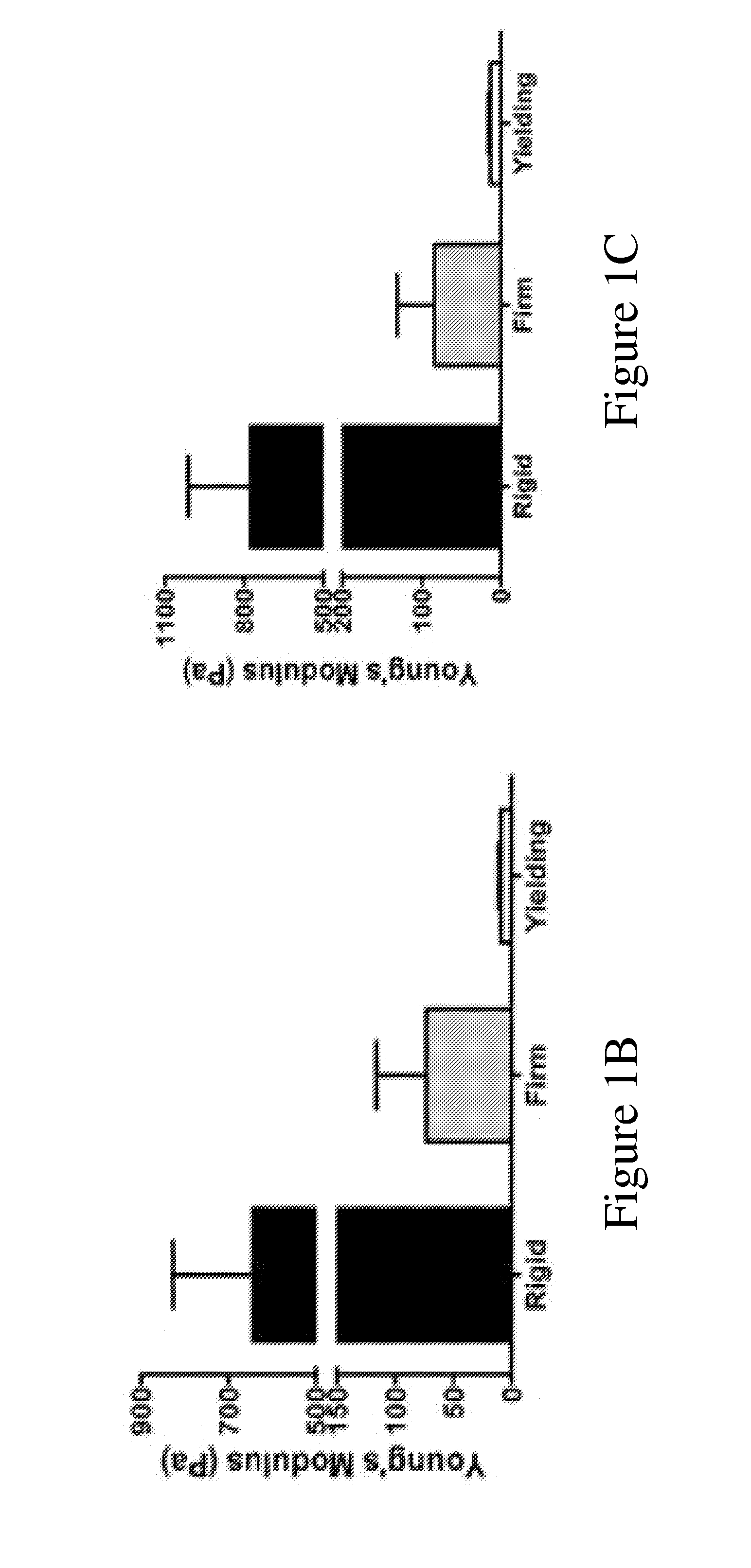 Hydrogel-based vascular lineage cell growth media and uses thereof