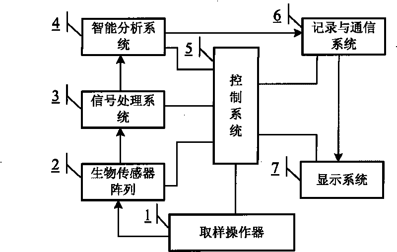 Intelligent food safety detection system and detection method