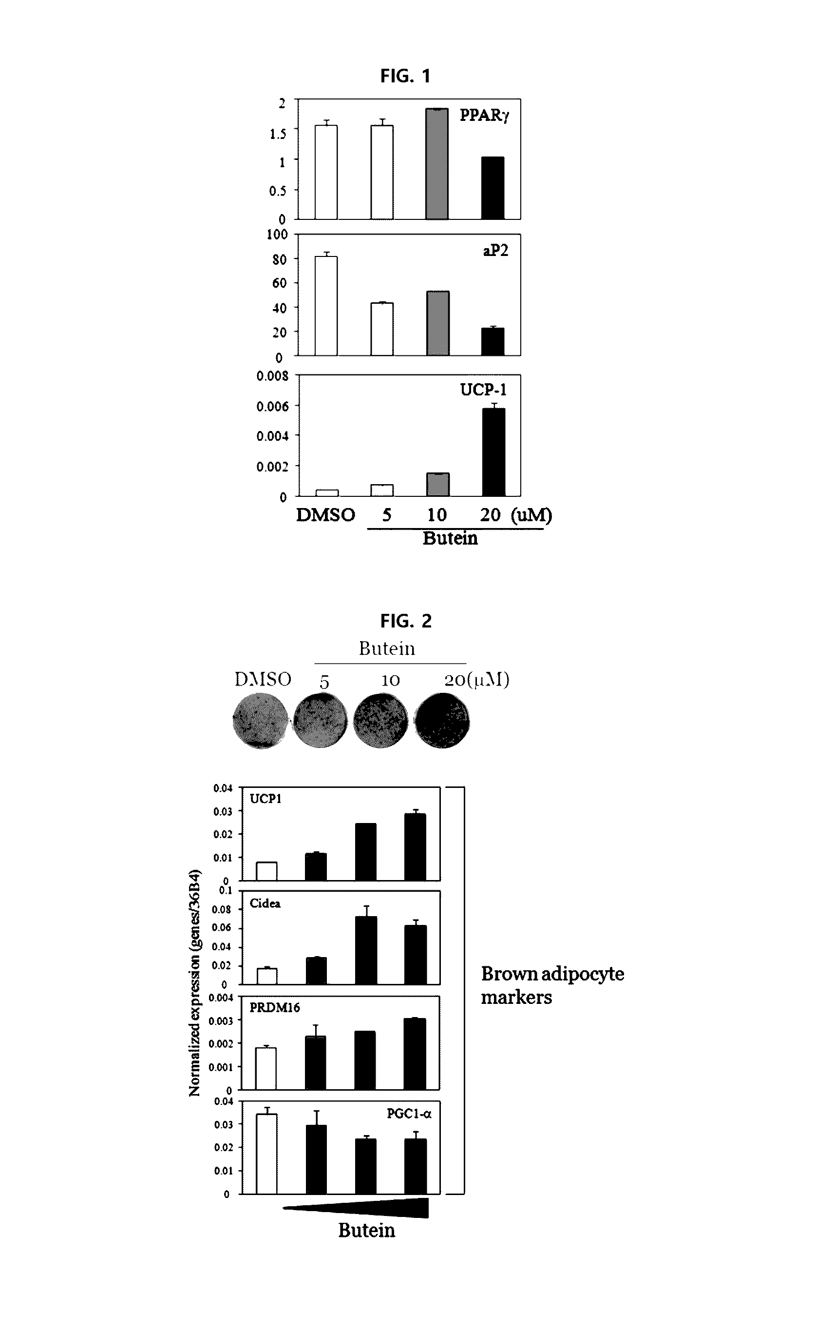 Composition for inducing differentiation into beige and brown adipocytes and method of inducing the same