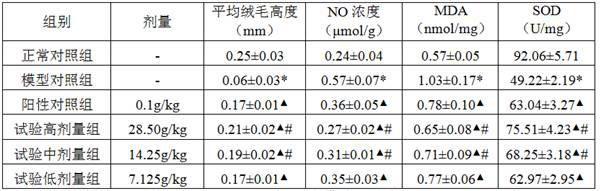 Traditional Chinese medicine composition for treating radioactive injury and preparation method thereof