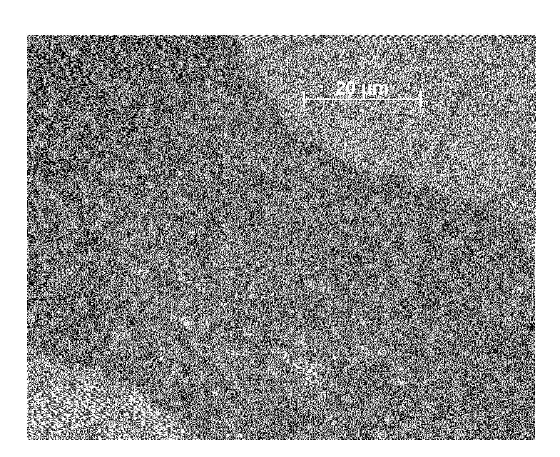 Ceramic-ceramic composites and process therefor, nuclear fuels formed thereby, and nuclear reactor systems and processes operated therewith