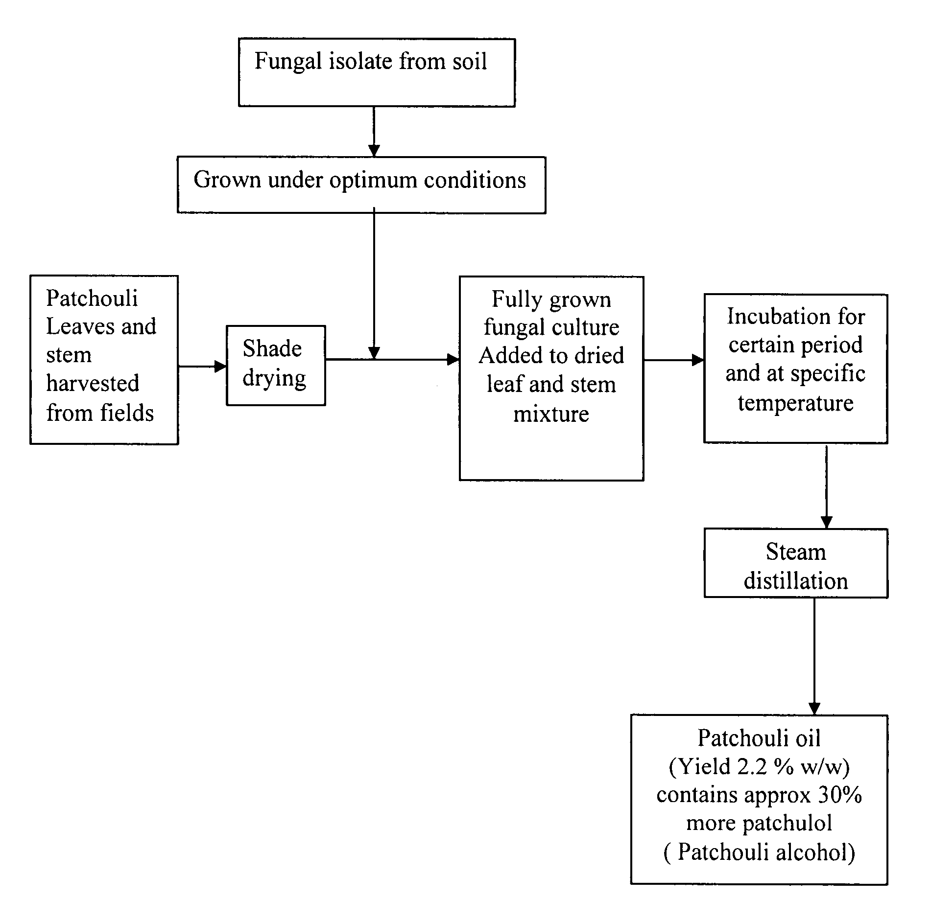 Process for increased patchulol content in essential oil of Pogostemon cablin