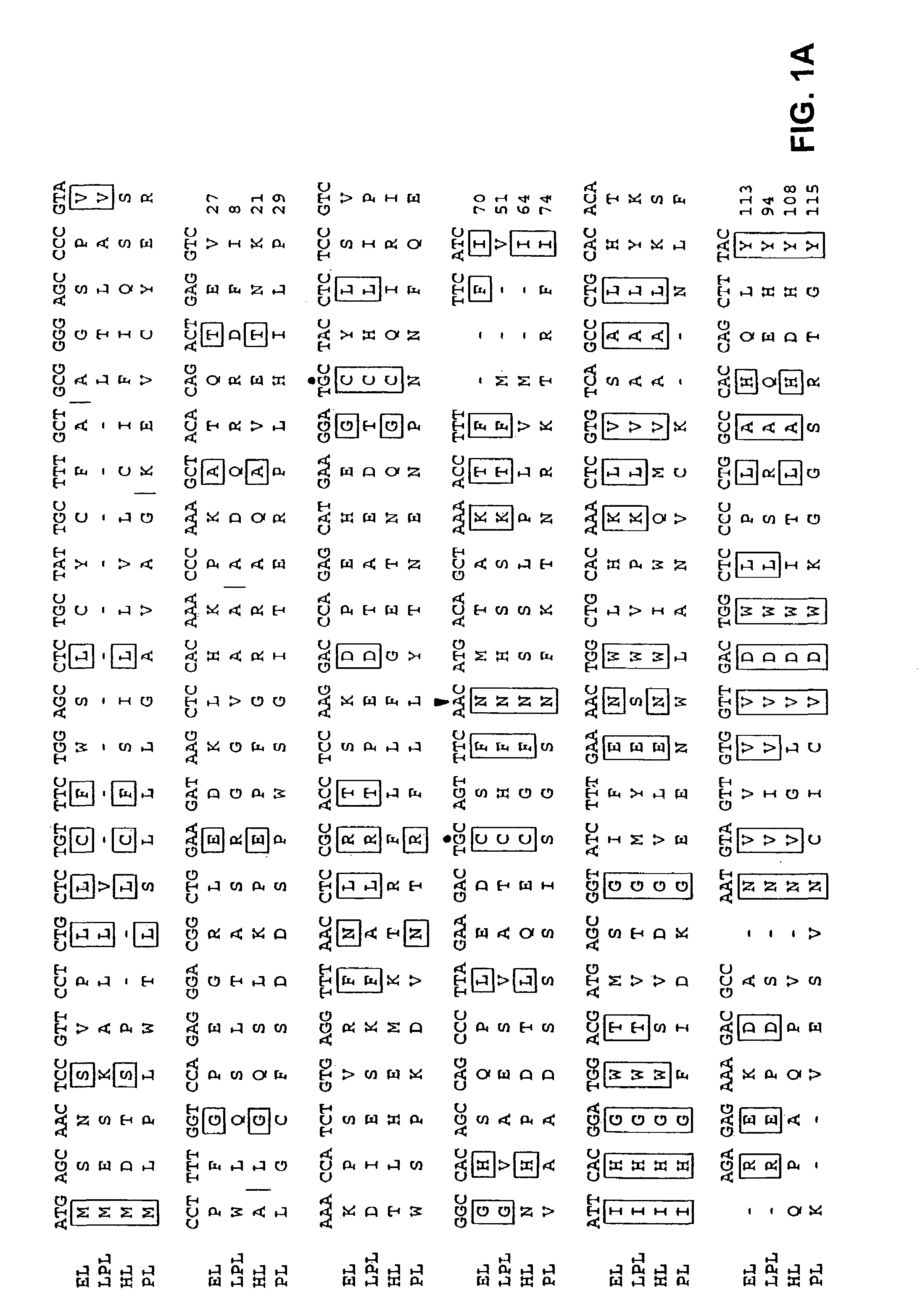 Compositions and methods for effecting the levels of high density lipoprotein (HDL) cholesterol and apolipoprotein AI very low density lipoprotein (VLDL) cholesterol and low density lipoprotein (LDL) cholesterol