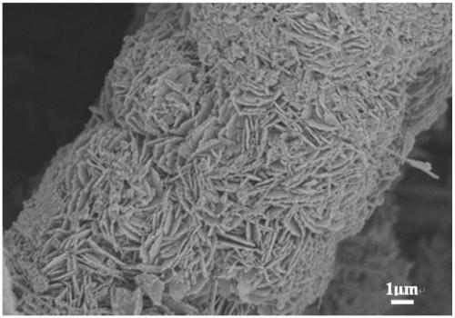 Method for synthesizing self-assembled VSe2 nanosheets