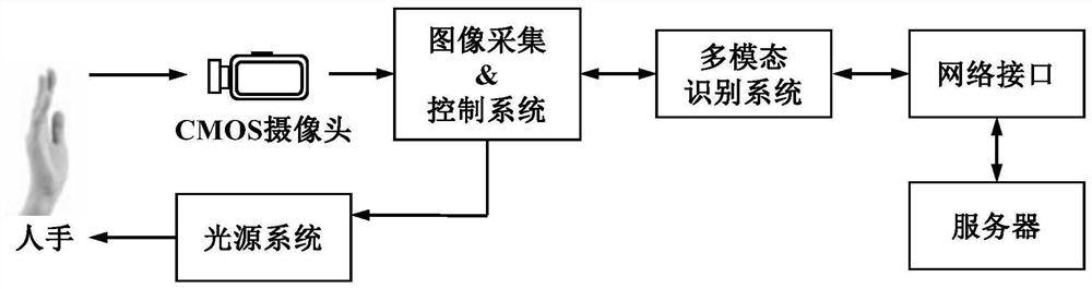 Palm type and palm vein feature extraction and recognition method