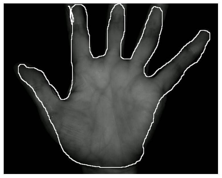 Palm type and palm vein feature extraction and recognition method