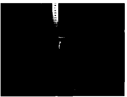 A kind of solid-phase alloying method of Al-Si powder under high pressure condition