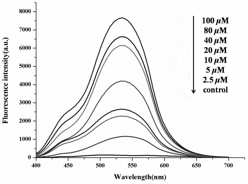 Fluorescence probe for detecting human serum albumin and preparation method therefor