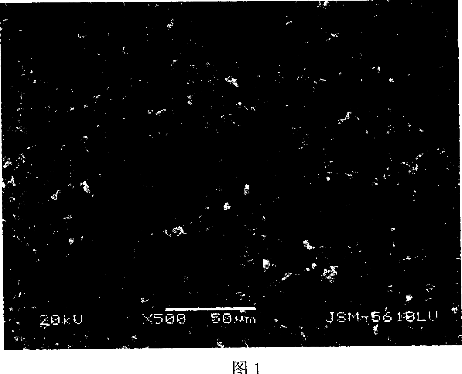 A making method for lithium ion secondary cell