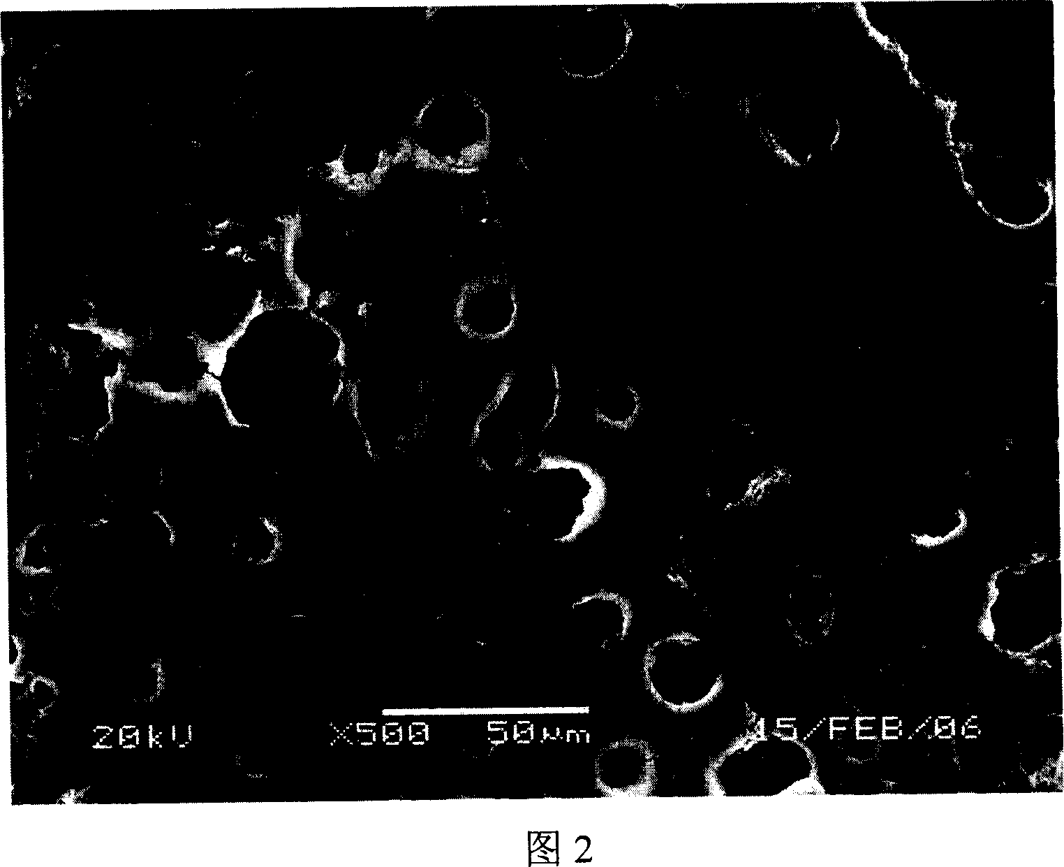 A making method for lithium ion secondary cell