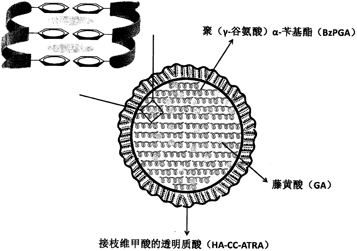 Gambogic acid core-shell structure composite nanometer preparation and preparation method thereof