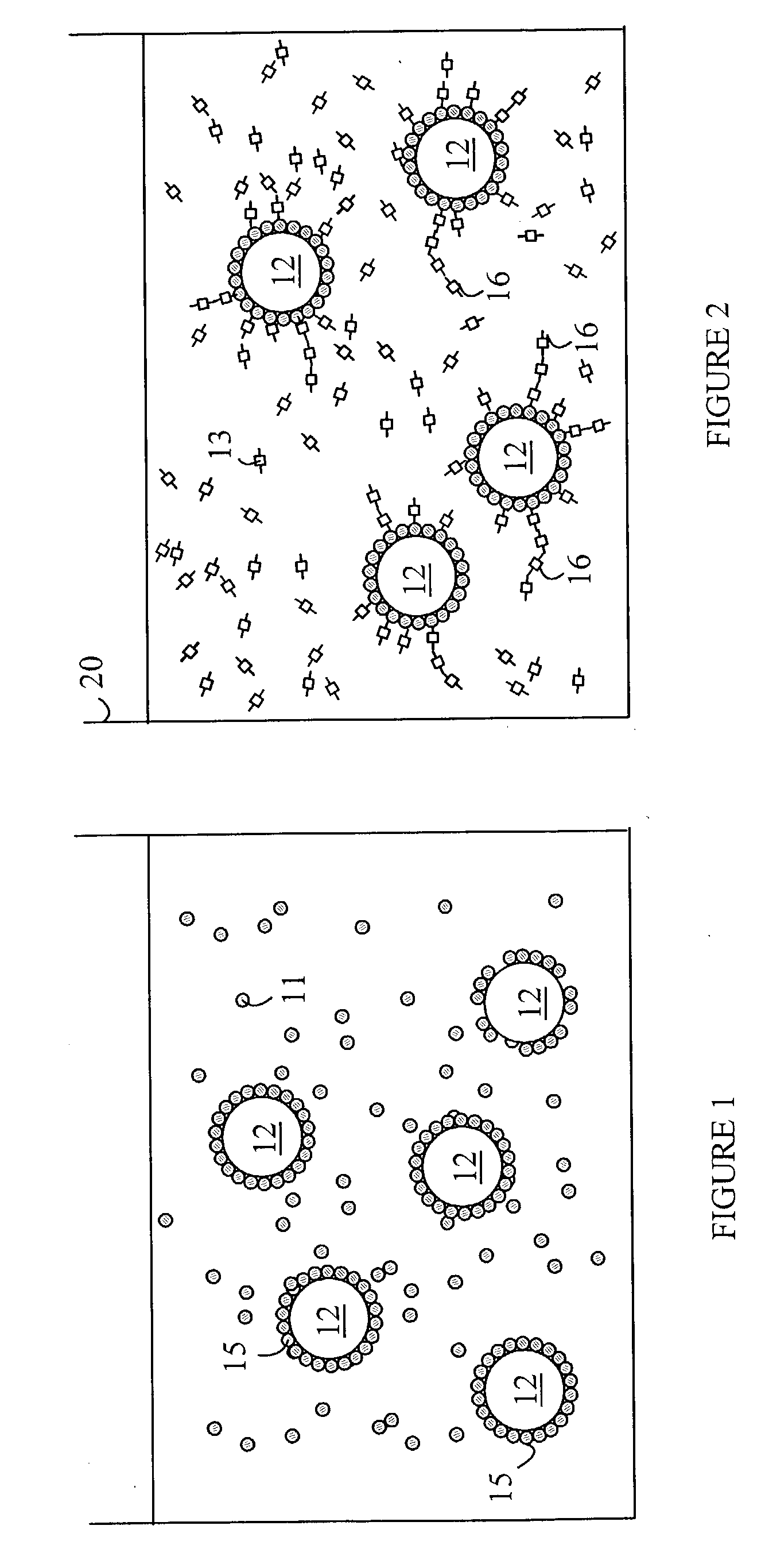 Semiconductor nanoparticles coated with electroactive polymers